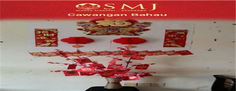 Chinese New Year Celebration